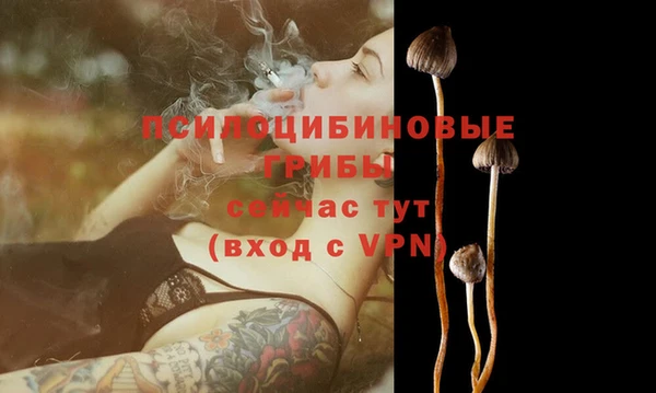 MESCALINE Осинники