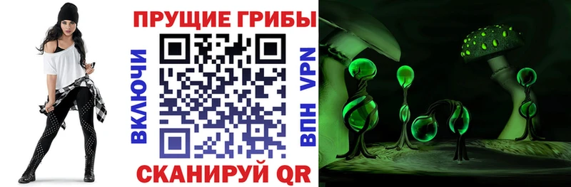 Галлюциногенные грибы прущие грибы  kraken сайт  Курлово 